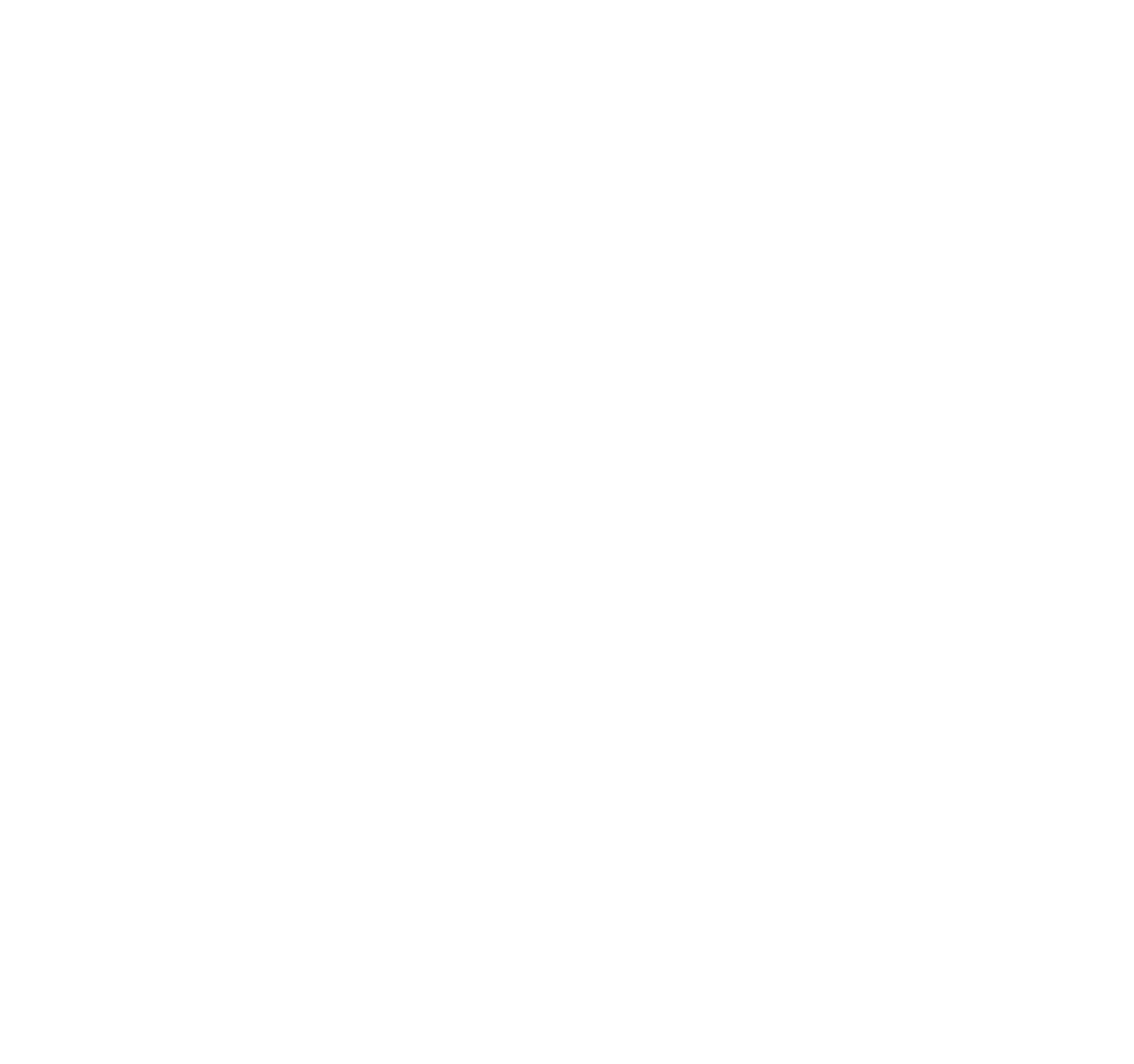 Logo-weiß